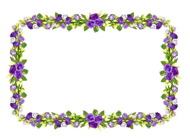 istock Floral frame with purple eustoma flowers 960563986