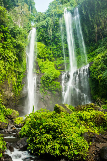 istock Sekumpul waterfall in Bali surrounded by tropical forest 960570936