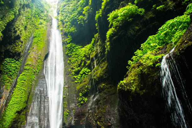 istock Sekumpul waterfall in Bali surrounded by tropical forest 960572140