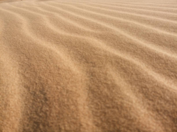 istock Out of focus of sand waves pattern 960578844