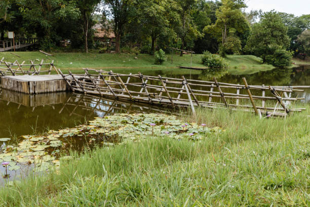 ponte de madeira sobre a aldeia de sarawak cultura do lago - iban tribe - fotografias e filmes do acervo