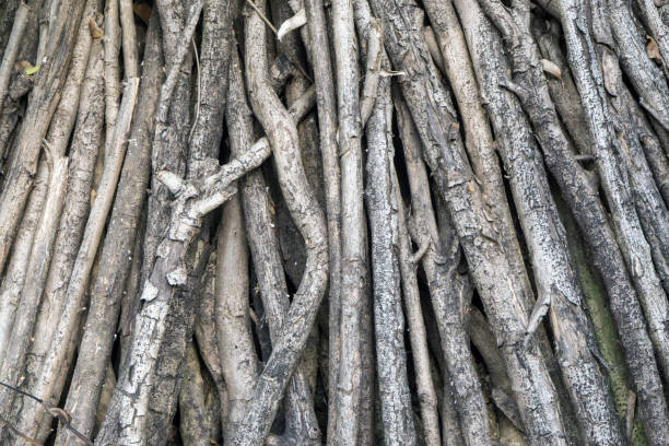 istock Natural chopped firewood wooden background. 960579988