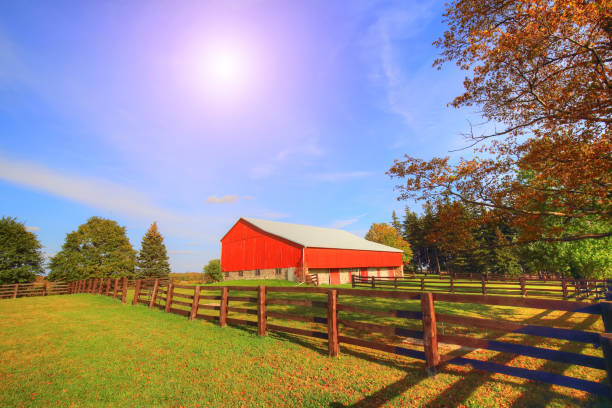 istock Typical Canadian Countryside in Ontario 960580294