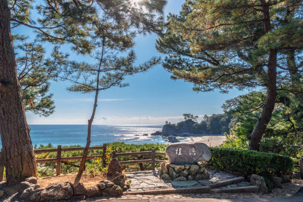 istock Scenery of Katsura-hama beach 960582426