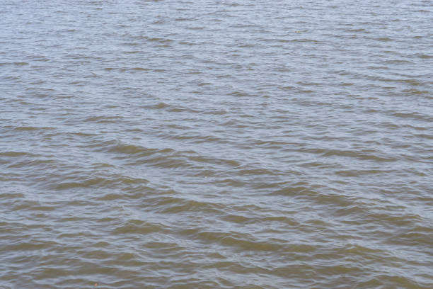 istock Sea water surface background and texture. lonely concept. 960583120