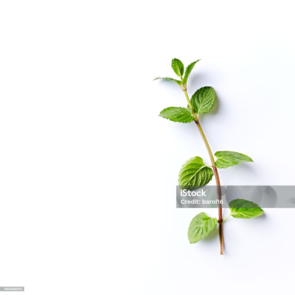 Fresh organic Mint Leaves on White Background Fresh organic Mint Leaves on White Background; flat lay Mint Leaf - Culinary Stock Photo