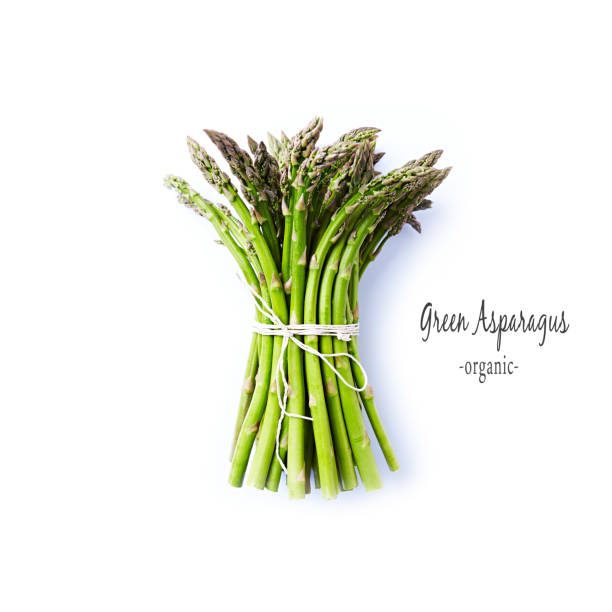 흰색 바탕에 신선한 그린 아스파라거스 - asparagus vegetable isolated freshness 뉴스 사진 이미지