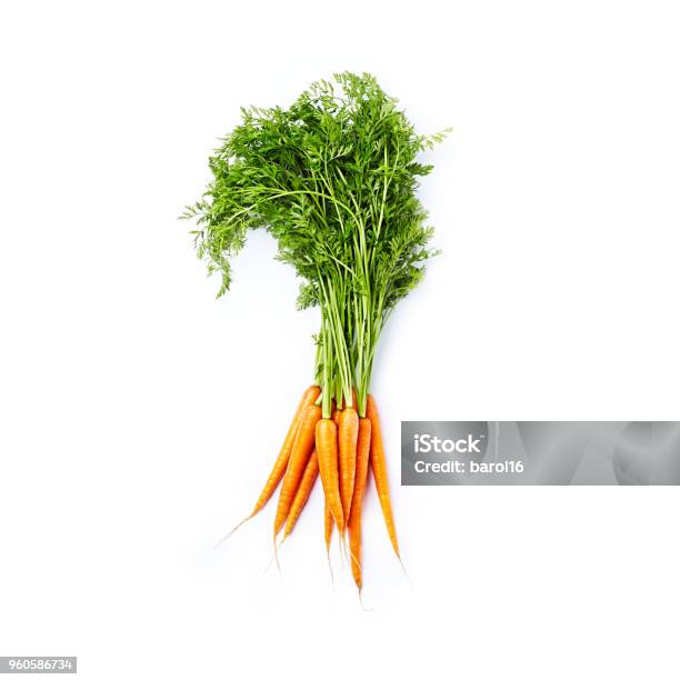 Bunch Of Fresh Organic Carrots Stock Photo - Download Image Now - Carrot, White Background, High Angle View