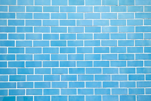 A close-up of a single brick in a wall, painted dark blue.