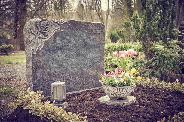 douleur au cimetière - new life death cemetery flower photos et images de collection