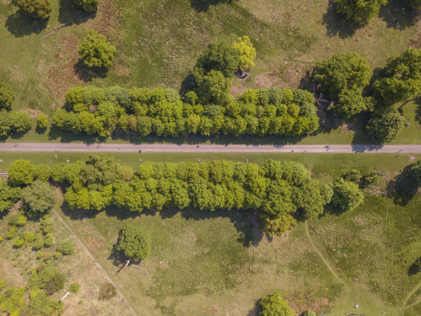 istock Aerial Drone Single Road With Trees Grass Field Forest Open Road 960590956