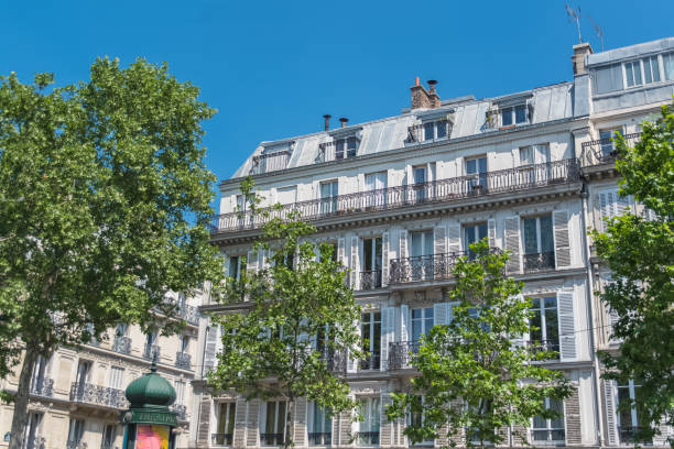 istock Paris, beautiful building in the center 960590988