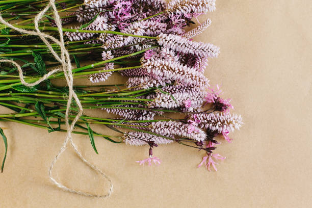istock unusual beautiful violet and pink flowers on craft background, space for your text 960593896