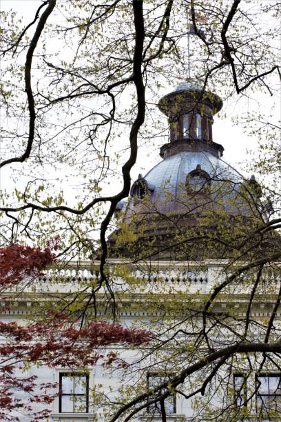 Architecture exterior view. Through tree branches, you can see the dome of the South Carolina State House clearly. Created in Columbia, SC, 03/19/2018