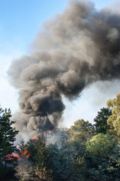 istock Smoke and Fire From Out of Control Wildfire 960604870