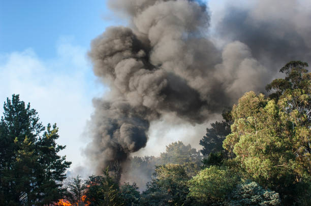 istock Smoke and Fire From Out of Control Wildfire 960605008