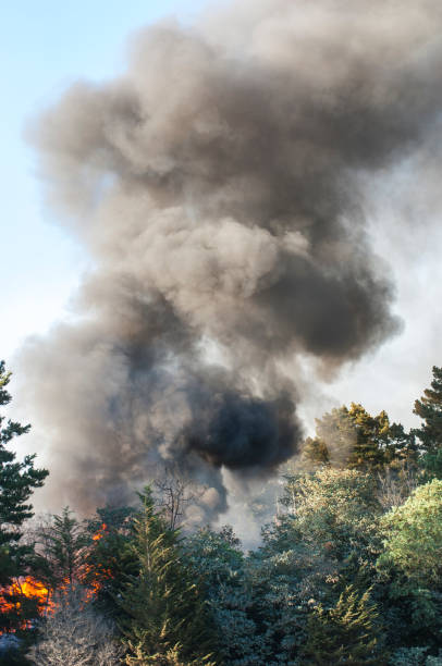 istock Smoke and Fire From Out of Control Wildfire 960607770