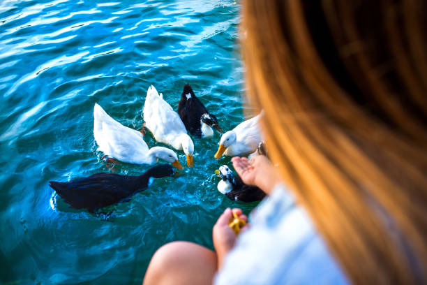 Hand stretches treat ducks