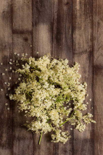 istock The Elder or Elderberry (Sambucus nigra) flowers 960611160