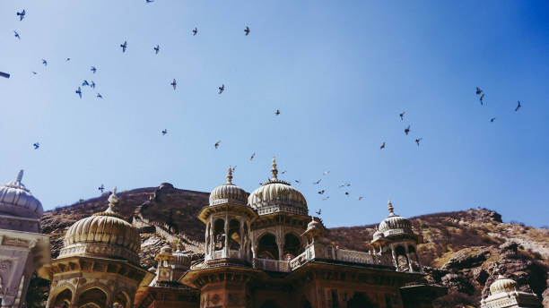 istock Birds Flying Over Jaipur Sky 960616394