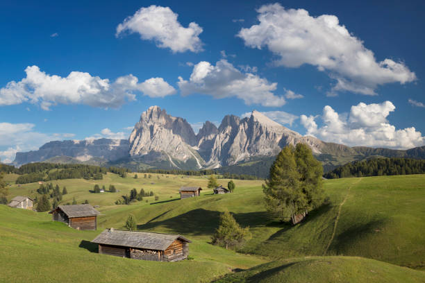 istock Alpe di Siusi, South Tyrol, Italy 960616530