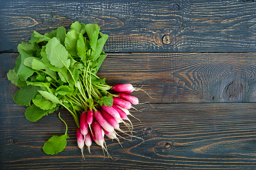 Summer harvested red radish. Growing organic vegetables. Large bunch of raw fresh juicy garden radish on dark boards ready to eat. The top view. Flat lay. Free space for an inscription.