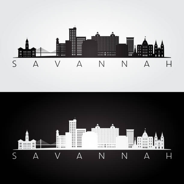 illustrations, cliparts, dessins animés et icônes de savannah usa skyline et repères silhouette, noir et blanc design, illustration vectorielle. - savane