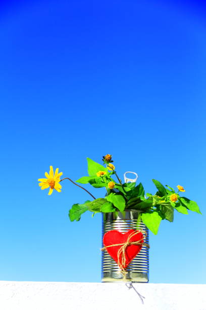istock Reused metal can. 960641298