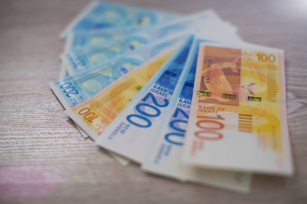 istock Stack of various of israeli shekel money bills - Top View. 960641504