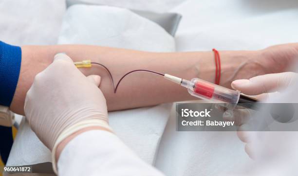 Doctor Hands Sticking Needle Into Female Vein For Blood Sampling Stock Photo - Download Image Now