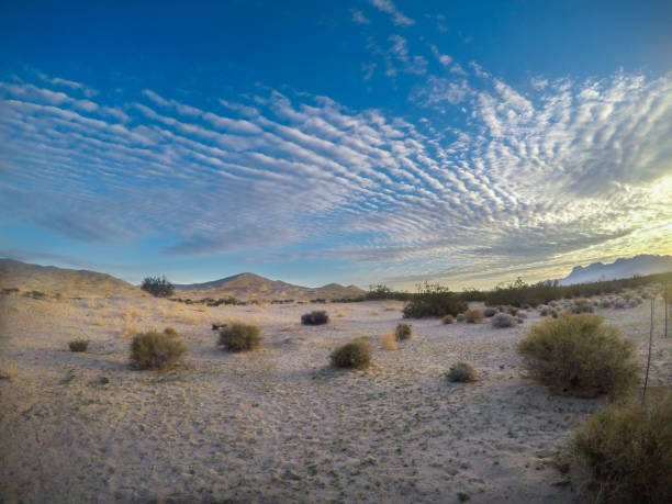 istock Desert Sand Dunes and Cactus Landscape 960644518