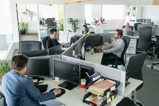 Multi racial business people working in modern office Men and women sitting at desks and using computers, busy office scene with men and women at work stations office partition stock pictures, royalty-free photos & images