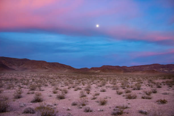istock Road through the Desert Landscape Sunset and Sunrise 960648786
