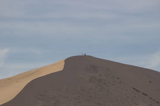 istock Desert Sand Dunes and Cactus Landscape 960648962
