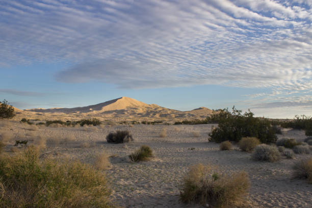 istock Road through the Desert Landscape Sunset and Sunrise 960651246