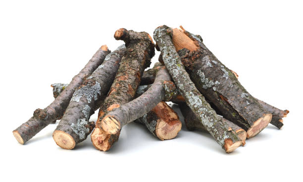 istock A pile of log branch tree on white 960651682