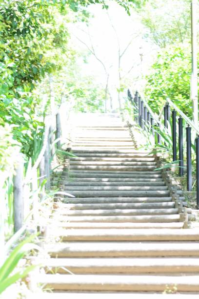 istock Background / Scenery of early summer 960658466