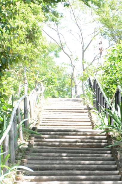 istock Background / Scenery of early summer 960658480