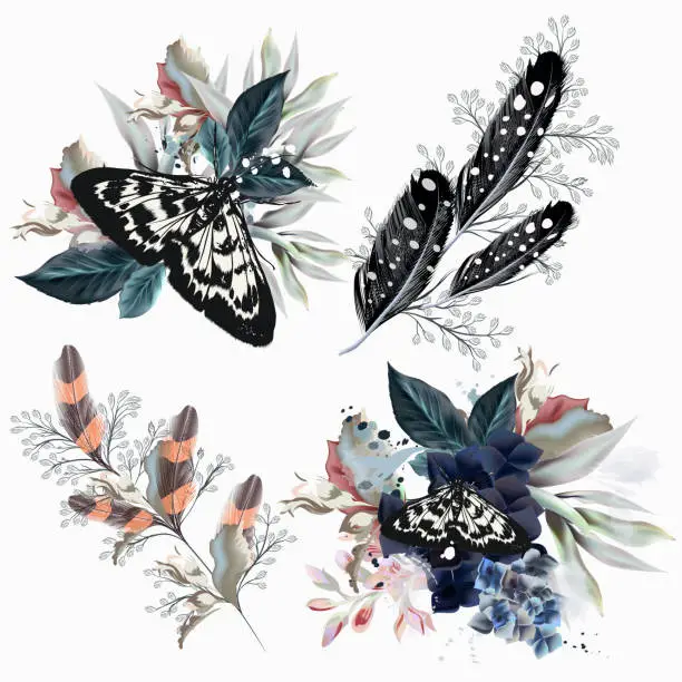 Vector illustration of Collection of floral compositions with butterflies, flowers and feathers