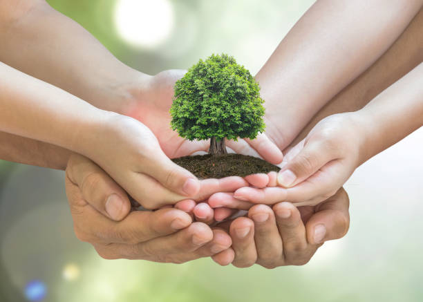 World environment day and sustainable environment concept in father - children's volunteer hands World environment day and sustainable environment concept in father - children's volunteer hands Arbor Day stock pictures, royalty-free photos & images