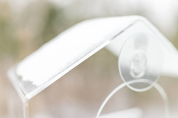 istock One empty small glass plastic bird feeder with suction cups against window macro closeup during winter snow in Virginia, snowflakes, nobody 960670096