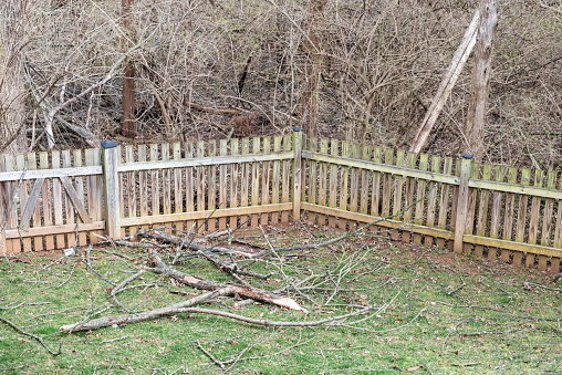 Home backyard wooden fence with many fallen tree branches after winter windy storm on grass with bare wood outside, nobody closeup