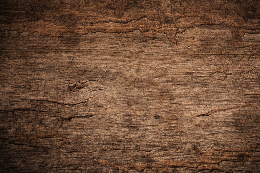 Wood decay with wood termites,Old grunge dark textured wooden background,The surface of the old brown wood texture
