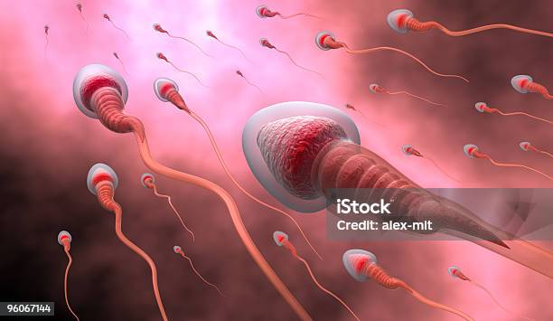 Foto de Inseminação Natural e mais fotos de stock de Esperma - Esperma, Amor, Biologia