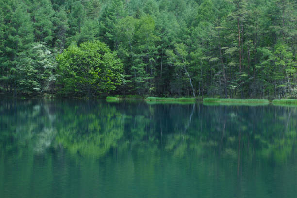 istock Reflection of Green Trees at Mishaka-ike Pond 960673218
