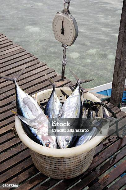 Peso De Pesqueras Durante El Día Foto de stock y más banco de imágenes de Atrapar - Atrapar, Captura de peces, Color - Tipo de imagen