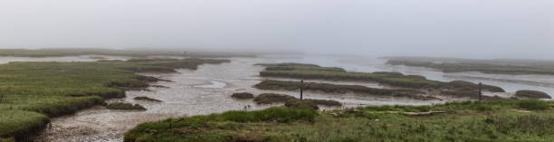 istock White foggy delta panorama at low tide in the spring 960676298