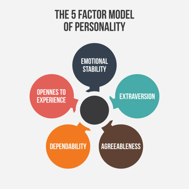 Model Of Personality vector art illustration