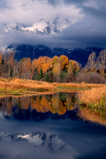 The Grand Tetons reflected in a beaver pond during an autumn storm. Wyoming.