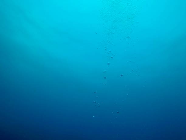 istock Hachijo island photo 960683280